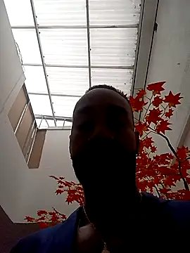 Dante Knox online show from 9, 4, 2026