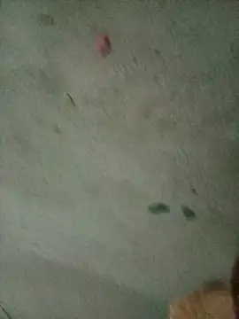 mogauff online show from 13, 1, 2026