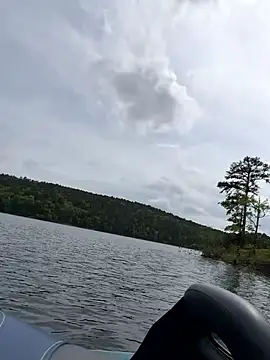 tastemecaroline online show from 15, 4, 2026