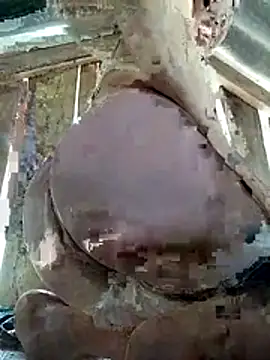 Sam-cute online show from 9, 4, 2026