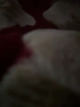 butylek online show from 14, 1, 2026