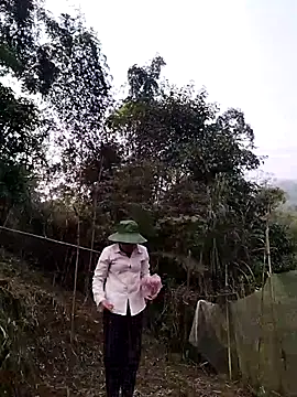 lia-coy online show from 29, 3, 2026