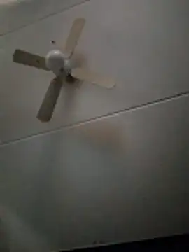 dewimp1 online show from 3, 2, 2026