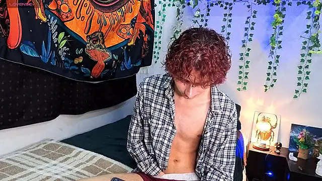 noynxz online show from 12, 7, 2026