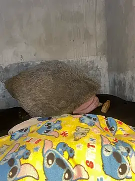 Snapshot of Iam_AlexandraRey chatting on 15, 2, 2026 Iam AlexandraRey online show from 15, 2, 2026