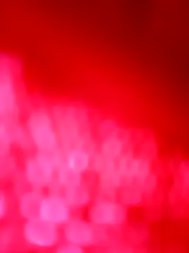 negrim10 online show from 12, 2, 2026