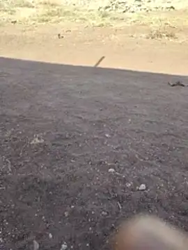 PrivateMeetX online show from 26, 4, 2026