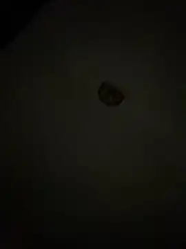 Snapshot of Diamanda12 chatting on 1, 3, 2026 Diamanda12 online show from 1, 3, 2026