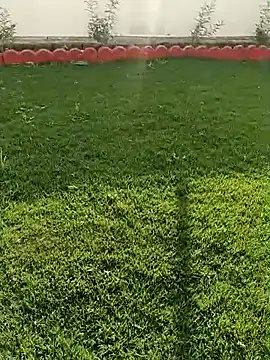 Romantic rakesh 12 online show from 7, 2, 2026