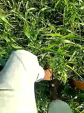 Cute Boy 4 online show from 6, 4, 2026