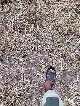 Cute Boy 4 online show from 18, 4, 2026