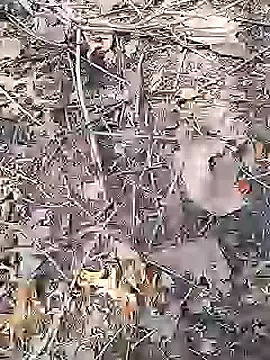 Cute Boy 4 online show from 19, 4, 2026