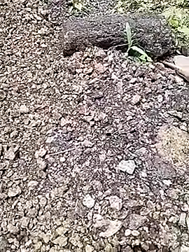 Snapshot of Cute_Boy_4 chatting on 17, 7, 2026 Cute Boy 4 online show from 17, 7, 2026
