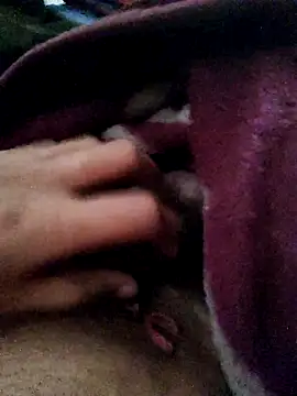 crazyxy12 online show from 12, 2, 2026