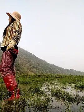 Tina-beo online show from 2, 4, 2026