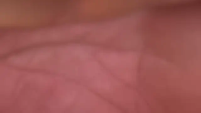 ctguybj online show from 22, 6, 2026