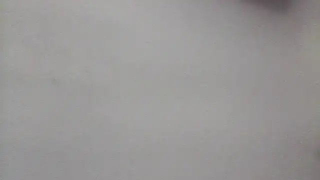 lorraine2036 online show from 14, 4, 2026