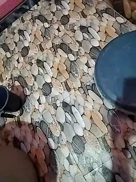 Snapshot of tamilpaiyan989 chatting on 5, 4, 2026 tamilpaiyan989 online show from 5, 4, 2026