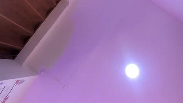 Paris Velvet online show from 8, 4, 2026