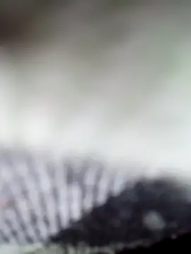 Sexy-Sony770 online show from 7, 2, 2026