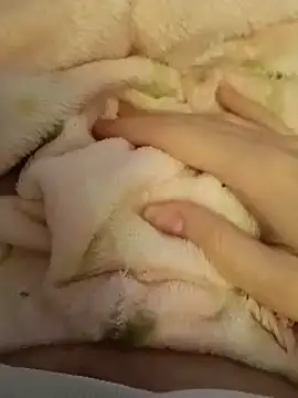 Snapshot of CutxeFrench chatting on 2, 3, 2026 CutxeFrench online show from 2, 3, 2026