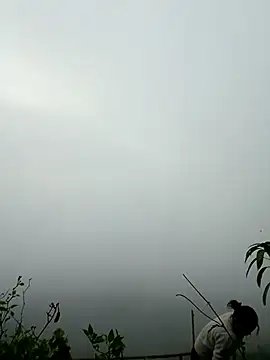 sushi-asa online show from 7, 3, 2026