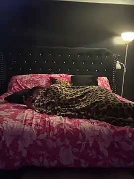 tipheragain online show from 26, 4, 2026