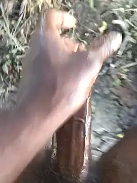 kalai 32 online show from 13, 2, 2026