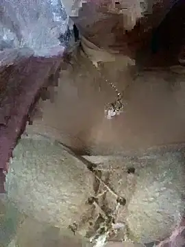 yuii-717 online show from 4, 2, 2026