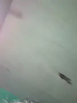 Hot ras28 online show from 19, 2, 2026