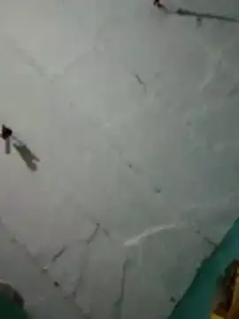 Hot ras28 online show from 1, 3, 2026