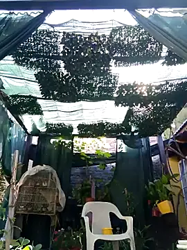 Snapshot of gordorichard chatting on 21, 2, 2026 gordorichard online show from 21, 2, 2026