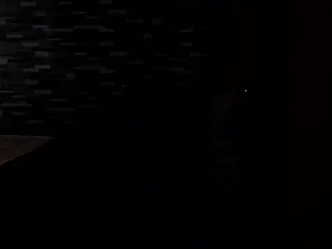 Snapshot of PennyUni chatting on 13, 2, 2026 PennyUni online show from 13, 2, 2026