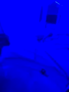 bojo69 online show from 13, 2, 2026