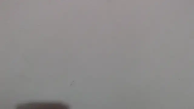 im angel777 online show from 4, 2, 2026