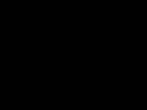 macariocb online show from 27, 5, 2026