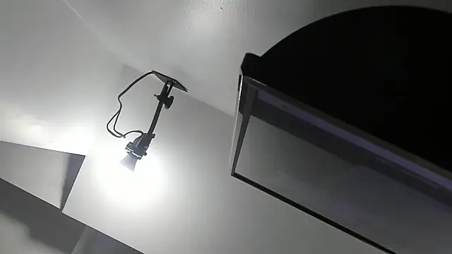 kate morgann online show from 1, 4, 2026