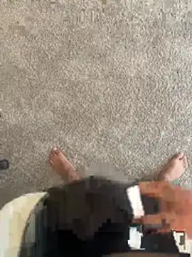 jose vnzla online show from 5, 3, 2026