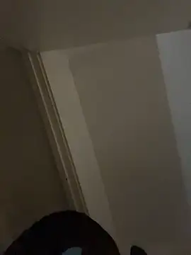 Rylia online show from 3, 4, 2026