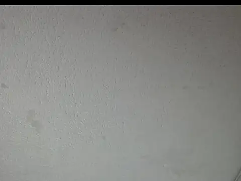 peytonbrunette online show from 23, 3, 2026