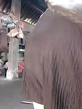 Nhoccon90 online show from 16, 3, 2026