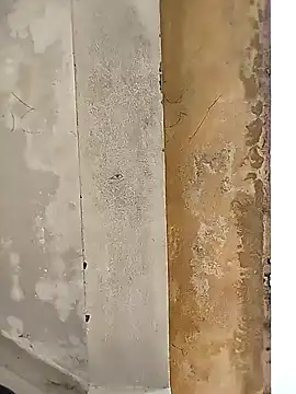 Snapshot of loyalboy_0052 chatting on 8, 2, 2026 loyalboy 0052 online show from 8, 2, 2026