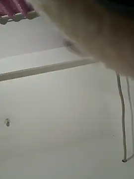 Chery mup online show from 26, 3, 2026