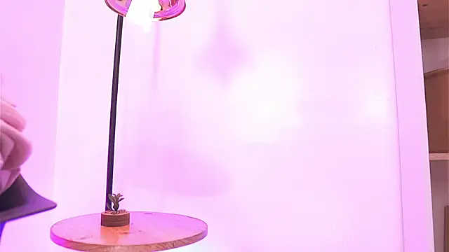 Shopie Colucci online show from 13, 4, 2026