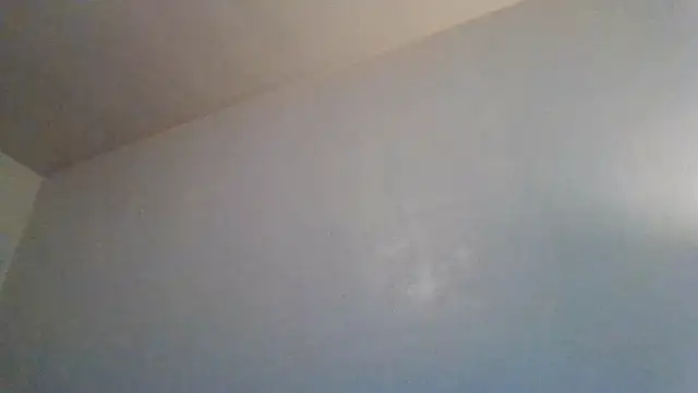 Snapshot of Tallhungandcloudy chatting on 19, 2, 2026 Tallhungandcloudy online show from 19, 2, 2026