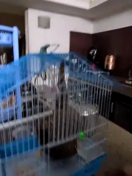 Snapshot of sexysilmy chatting on 25, 2, 2026 sexysilmy online show from 25, 2, 2026