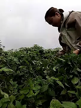 Snapshot of lovely-742 chatting on 28, 2, 2026 lovely-742 online show from 28, 2, 2026