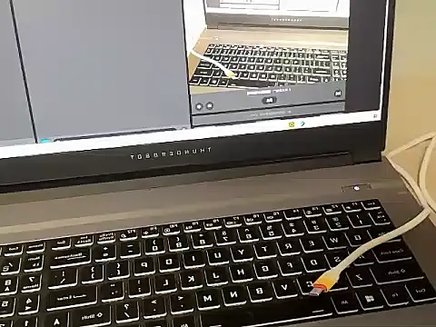 lligongzhi online show from 12, 2, 2026