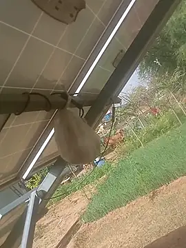 mastmalai online show from 17, 3, 2026