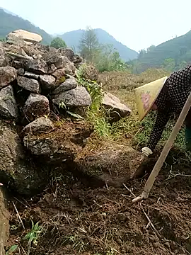 nelina 12345 online show from 23, 4, 2026